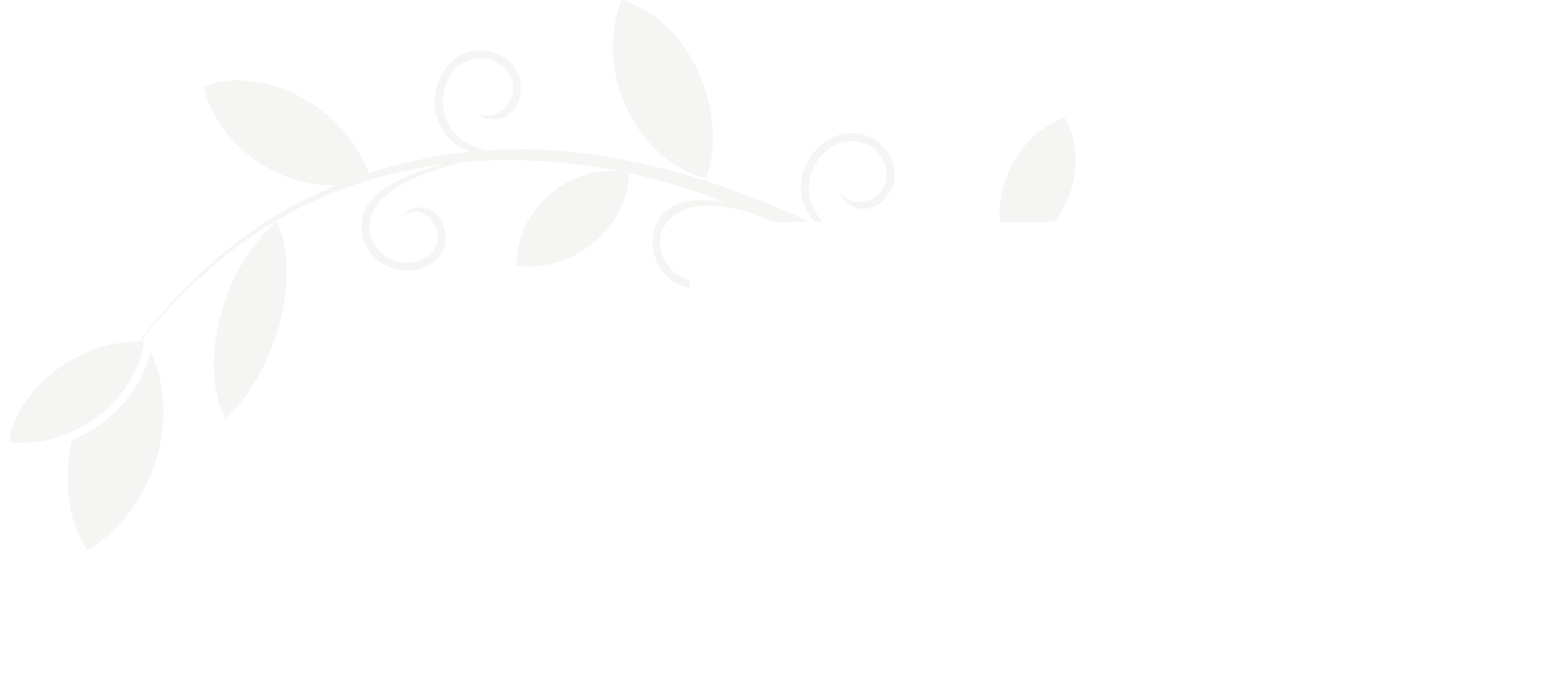 Our Services Background