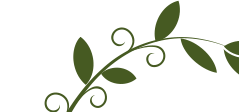 Decoration image